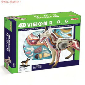 Tedco テッドコ 4D Master 犬解剖模型 Vision Dog Anatomy Model
