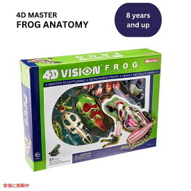 【最大2,000円クーポン6月11日1:59まで】4Dビジョン カエル解剖模型 4D Vision Frog Anatomy Model