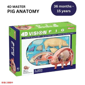 TEDCO 4DrW u^U͌^ TEDCO 4D Vision Pig Anatomy Model