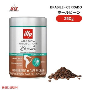 C[ illy z[r[ R[q[ ArJZNV uW Z[h ~lC ~fBA[Xg 8.8IX Whole Bean Coffee Brasile