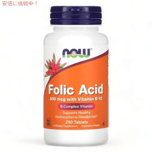 NOW Foods Folic Acid 800mcg 250 Tablets / iEt[Y tHNAVbh t_ 800mcg { r^~B12 250^ubg #0476