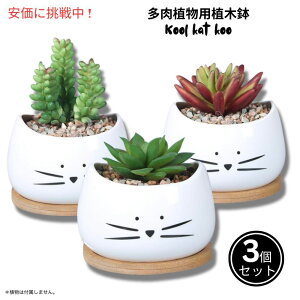 Koolkatkoo 3Zbg 킢LfUC Ap Z~bN 8cm 󂯎Mt zCgî݁j Cute Cat Succulent Pots 3.2inches White 3Sets