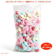 【最大2000円クーポン 4/17金 09:59まで】ソルトウォータータフィー（塩味タフィー） バラエティパック 3…