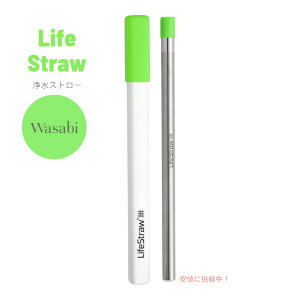 LifeStraw Sip �ė��p�\�ȃX�e�����X���򐅃X�g���[ LifeStraw Sip Reusable Stainless Steel Water Filter Drinking Straw