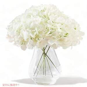 Kislohum AWTC VNt[ zCg 10wbh lHAWTC zCg