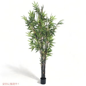 �y�ő�2000�~OFF 4/10��1:59�܂ŁzPure Garden 50-10015 5�t�B�[�g ���{�� �| �l�H���� 5�C���` �O���[��