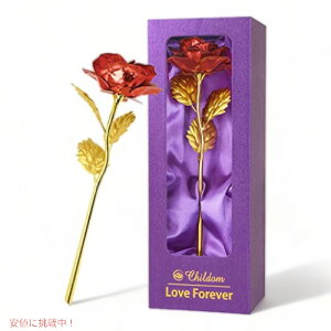 yő2,000~N[|112701:59܂ŁzԂJtȃỏ Mtg{bNXt o^Cf[ ̓