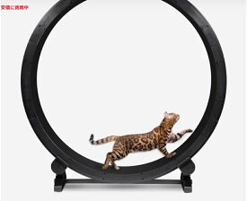 ワンファストキャット ONEFASTCAT 猫用 Cat Exercise Wheel エクササイズ ホイール キャットホイール Gen.6
