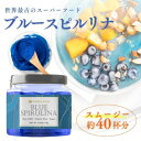 ブルースピルリナ Blue Spirulina 15g　無添加　無香料　無着色 遺伝子組み換え不使用 NON-GMO, Gluten Free, Vegan レインボーファームズ
