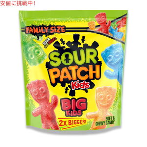 【訳あり・賞味期限】Sour Patch Kids Big Kids Family Size 1lb 11.2oz サワーパッチキッズ ビッグキッズ ファミリーサイズ 771g【賞味期限2025年11月17日まで】