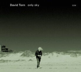 【輸入盤CD】David Torn / Only Sky (デヴィッド・トーン)
