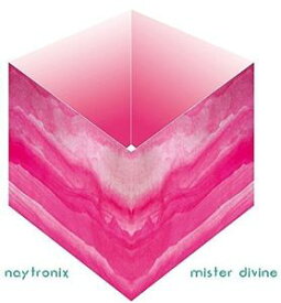 【輸入盤CD】Naytronix / Mister Divine (Digipak)