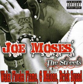 【輸入盤CD】Joe Moses / From Nothing To Something: The Streets (ジョー・モーゼズ)