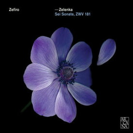 【輸入盤CD】J. Zelenka/Zefiro / Jan Dismas Zelenka: Sei Sonate ZWV 181 【K2016/6/24発売】