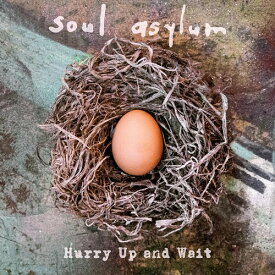 【輸入盤CD】Soul Asylum / Hurry Up & Wait【K2020/4/17発売】(ソウル・アサイラム)