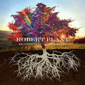 【輸入盤CD】Robert Plant / Digging Deep: Subterranea【K2020/10/2発売】(ロバート・プラント)