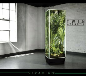 【輸入盤CD】Twin Atlantic / Vivarium (ツイン・アトランティック)