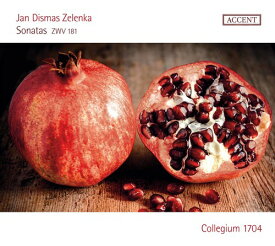 【輸入盤CD】Zelenka/Collegium 1704 / Jan Dismas Zelenka: Sonatas ZWV 181 【K2017/5/26発売】