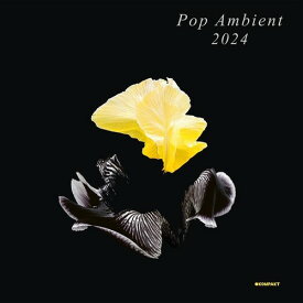 【輸入盤CD】VA / Pop Ambient 2024【K2023/12/1発売】