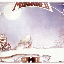 楽天市場】camel moon madness（CD・DVD）の通販