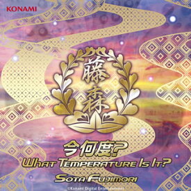【国内盤CD】SOTA FUJIMORI ／ 今何度?WHAT TEMPERATURE IS IT?