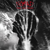 楽天市場】nomad the birthday dvdの通販