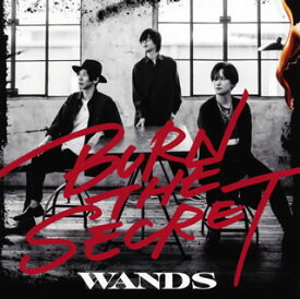 【国内盤CD】WANDS ／ BURN THE SECRET