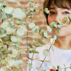 【国内盤CD】【新品】久保田裕加Trio ／ Start of something good