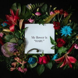 【国内盤CD】BOY MEETS HARU ／ My flower is "HARU"【J2023/6/27発売】