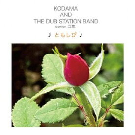 【国内盤CD】KODAMA AND THE DUB STATION BAND ／ COVER曲集 ♪ともしび♪【J2023/10/4発売】