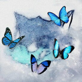 【国内盤CD】WOLF HOWL HARMONY from EXILE TRIBE ／ Frozen Butterfly [CD+DVD][2枚組]【J2024/2/14発売】