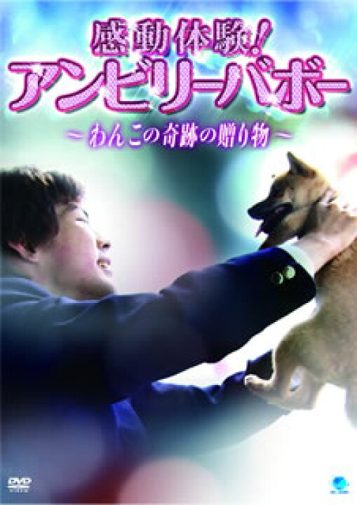 楽天市場 国内盤dvd 感動体験 アンビリーバボー わんこの奇跡の贈り物 あめりかん ぱい