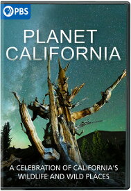 【輸入盤DVD】【1】PLANET CALIFORNIA