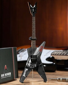 �y�V�i�zDIMEBAG DARRELL PANTERA VULGAR DISPLAY OF GUITAR
