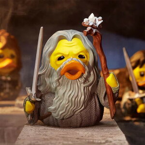 yVizTUBBZ / LORD OF THE RINGS BOXED GANDALF (YOU SHALL NOT PASyF2024/11/30z