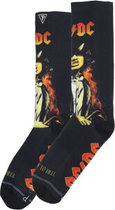 �\�b�N�X�y�V�i�zPERRI'S AC/DC HIGHWAY CREW SOCKS�yF2026/5/15�����z