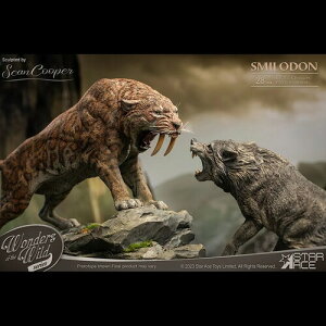 �y�V�i�zWonders of the Wild Series - Smilodon & Dire Wolf Statue Set�yF2026/6/16�����z