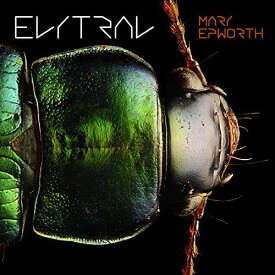 【輸入盤LPレコード】Mary Epworth / Elytral【LP2017/9/1発売】