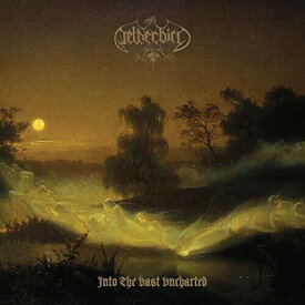 【輸入盤LPレコード】Netherbird / Into The Vast Uncharted (180gram Vinyl)【LP2019/9/27発売】