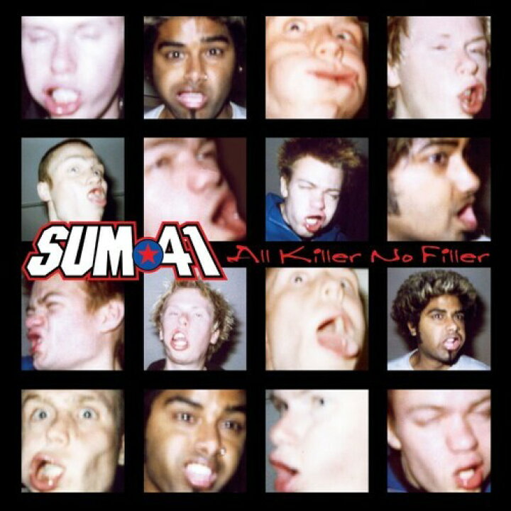 楽天市場】【輸入盤LPﾚｺｰﾄﾞ】【新品】Sum 41 / All Killer No Filler 