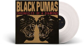 【輸入盤LPレコード】Black Pumas / Chronicles Of A Diamond (Clear Vinyl) (Digital Download Card)【LP2023/10/27発売】