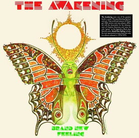 【輸入盤LPレコード】Awakening / Brand New Feeling【LP2023/6/30発売】