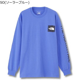 THE NORTH FACE LONG SLEEVE GRAPHIC T ザ ノース フェイス ロングスリーブ グラフィック Tシャツ