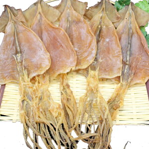 送料無料 するめ 乾物 おつまみ 保存食 だし 海鮮 珍味 5枚で約130g前後【スルメ いか】