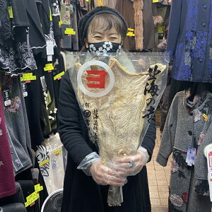 @JL@c50-58cm@ݖ740-770gO@kCY@@L@@JbgyނL@JL@L@@^zA@+500~