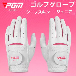 yzPGM StO[u WjA LbY {v V[vXL St St O[u zCg Obv  StK  E p SV^ ʋC _炩 ~ 