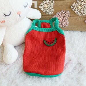 2_1_Ip s[X ^ ^ hX XJ[g ybg ybgVc hbOEGA ȒPE X  U op S ʋC ybgpi ̂