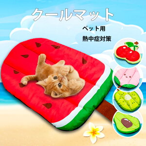uybgp}bgvLp ⊴ Ђ N[}bg ybg 􂦂  ڐG⊴ ⊴}bg ֎q CX ԓ \t@[ ybg}bg N[V[g MǑ΍ ΍ Q[W  
