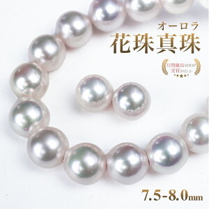 ʌ I[Ԏ p[ lbNX p[L[p[&^NXt 7.5-8.0 tH[}  CO sAX ^Ȋw ^쑍 ӕʏ Ӓ菑 v[g ^ 