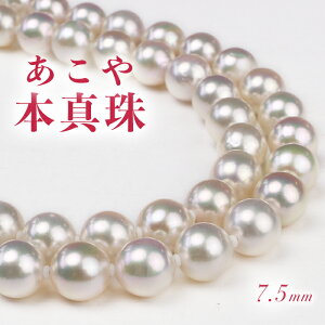 y5{zy7.5mmzAR p[ lbNX yz^ p[lbNX  lC fB[X WG[ ^ Y ^lbNX Ǝ w  6a 